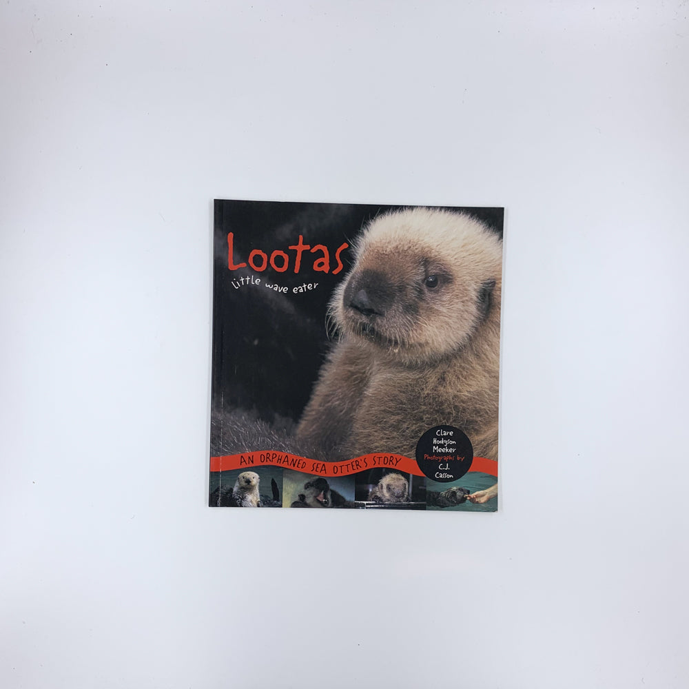 Lootas Little Wave Eater: An Orphaned Sea Otter's Story - Clare Hodgson Meeker & C.j. Casson