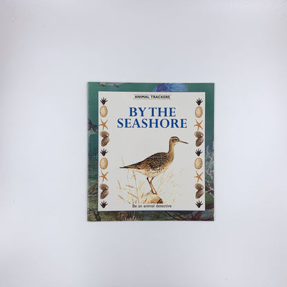 By the Seashore - Tessa Paul