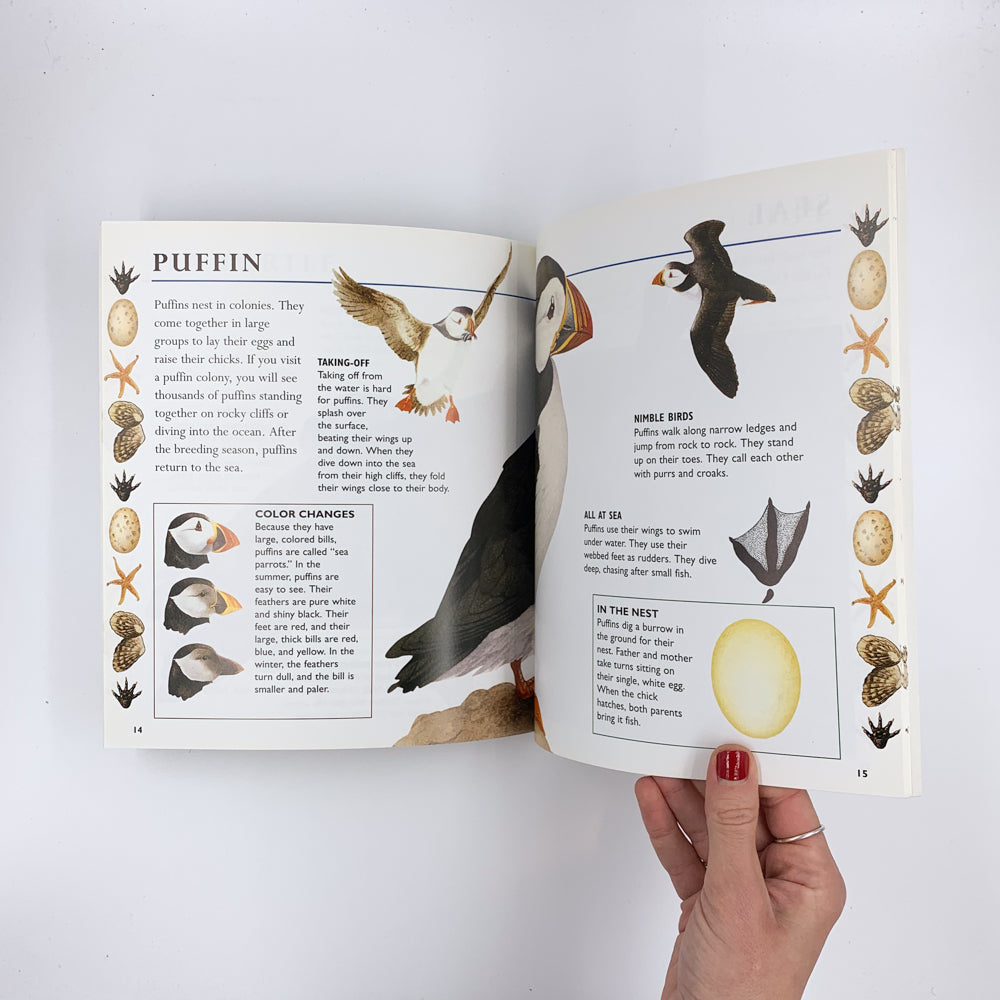 By the Seashore - Tessa Paul