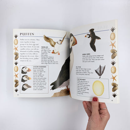 By the Seashore - Tessa Paul