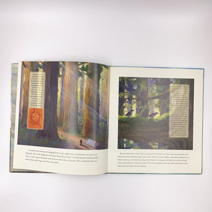 Seabird in the Forest: The Mystery of the Marbled Murrelet - Joan Dunning