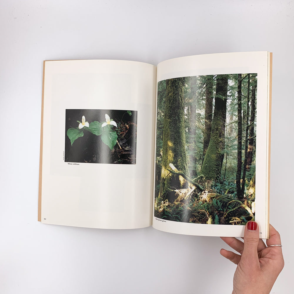 Meares Island : protecting a natural paradise - Paul George & Adrian Dorst