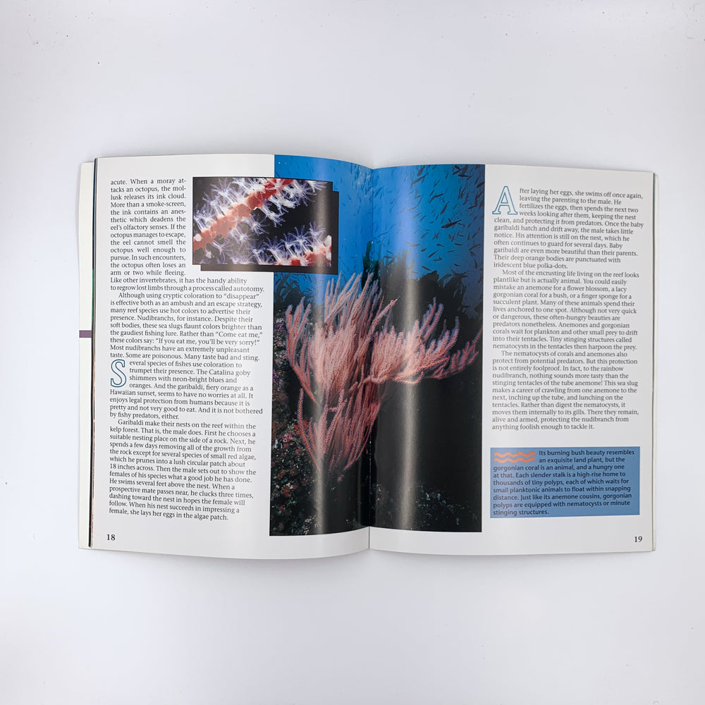 Kelp Forests - Judith Connor & Charles Baxter