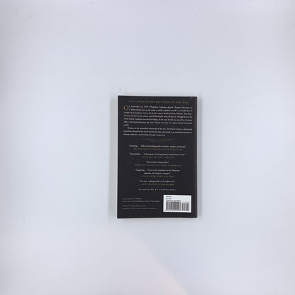 The Pianist: The Extraordinary True Story of One Man's Survival in Warsaw, 1939-1945 - Wladyslaw Szpilman