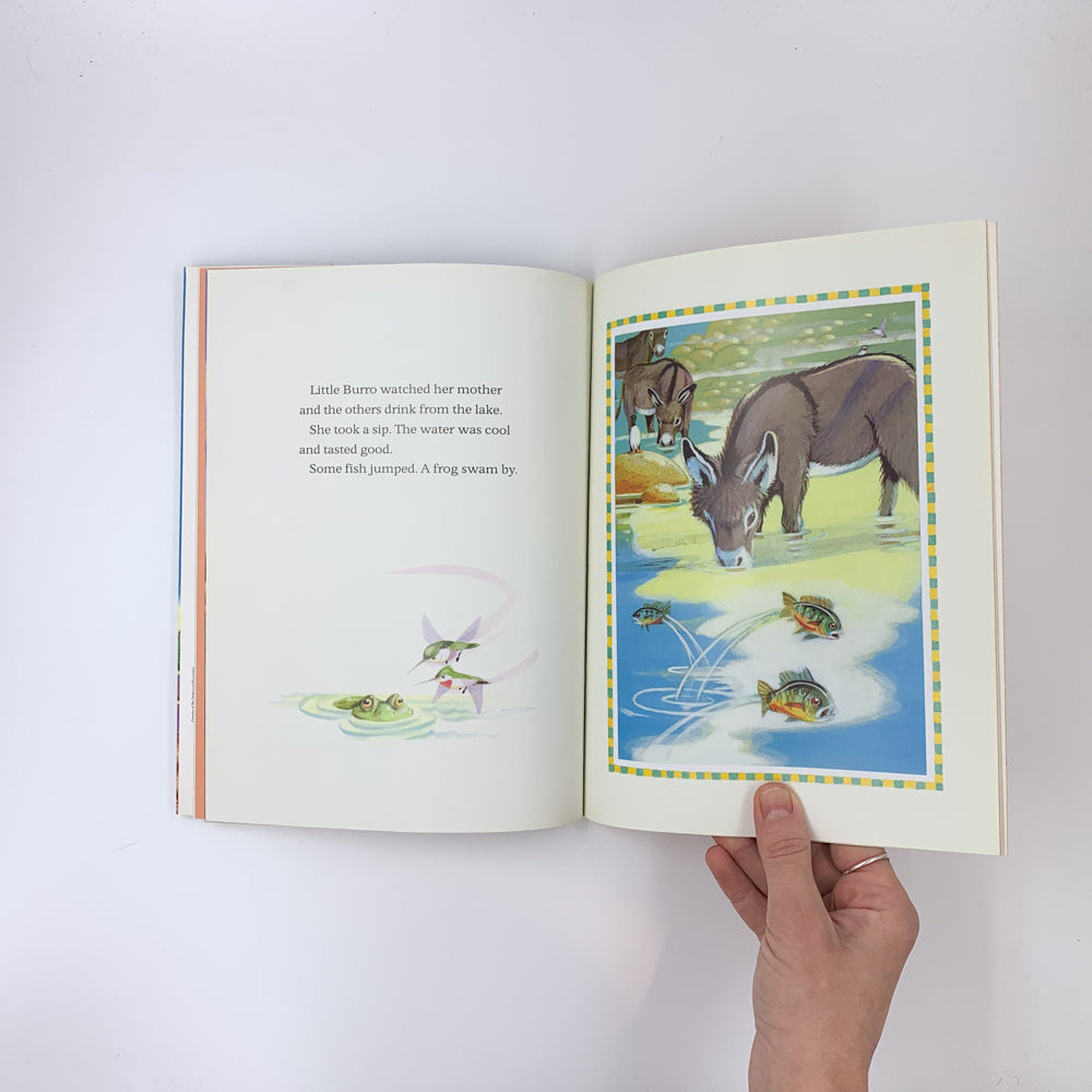 Petit Burro - Jim Arnosky