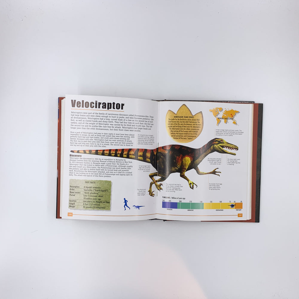 The Ultimate Book of Dinosaurs: Everything You Always Wanted to Know About Dinosaurs--but Were Too Terrified to Ask - Paul Dowswell, John Malam, Steve Parker & Paul Mason