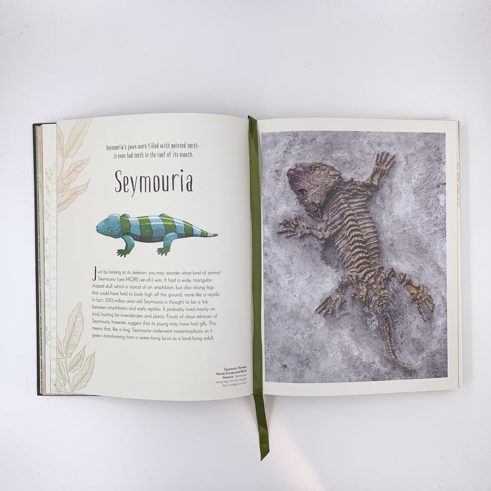 Dinosaurs and Other Prehistoric Life - Anusuya Chinsamy-Turan