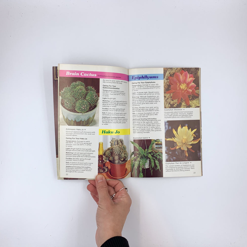 Cacti & Succulents for Modern Living - Merchants Publishing Company