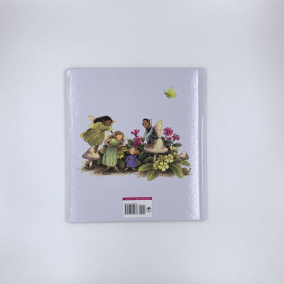 Tiny Jenny: Little Fairy, Big Trouble - Briony May Smith