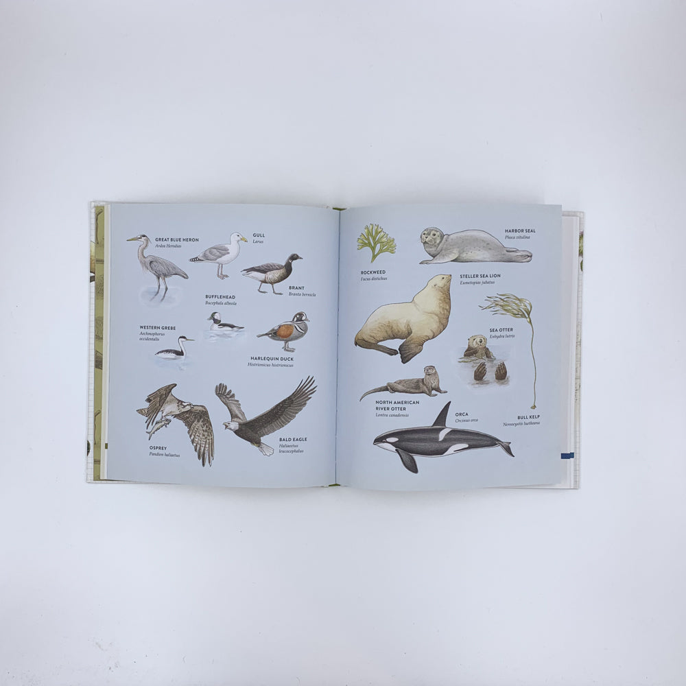 *Curious Kids Nature Guide: Explore the Amazing Outdoors of the Pacific Northwest* – Fiona Cohen et Marni Fylling
