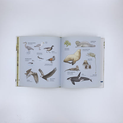 *Curious Kids Nature Guide: Explore the Amazing Outdoors of the Pacific Northwest* – Fiona Cohen et Marni Fylling