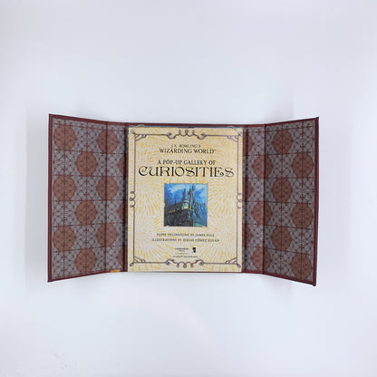 J.K. Rowling’s Wizarding World: A Pop-up Gallery of Curiosities - James Diaz