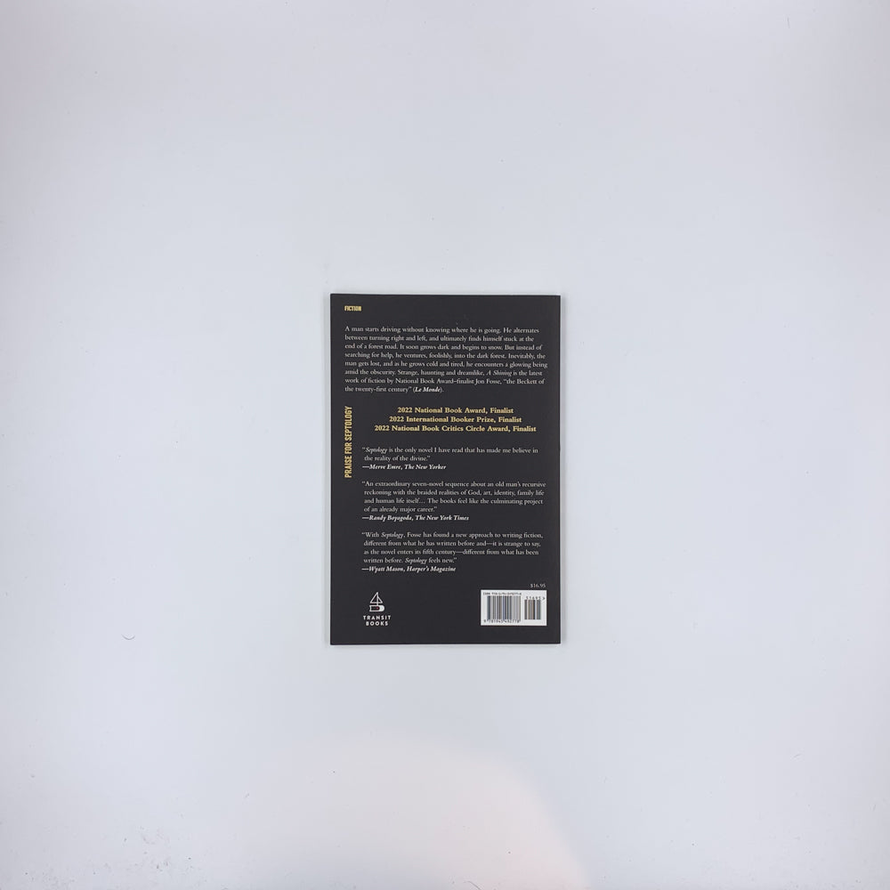 A Shining - Jon Fosse