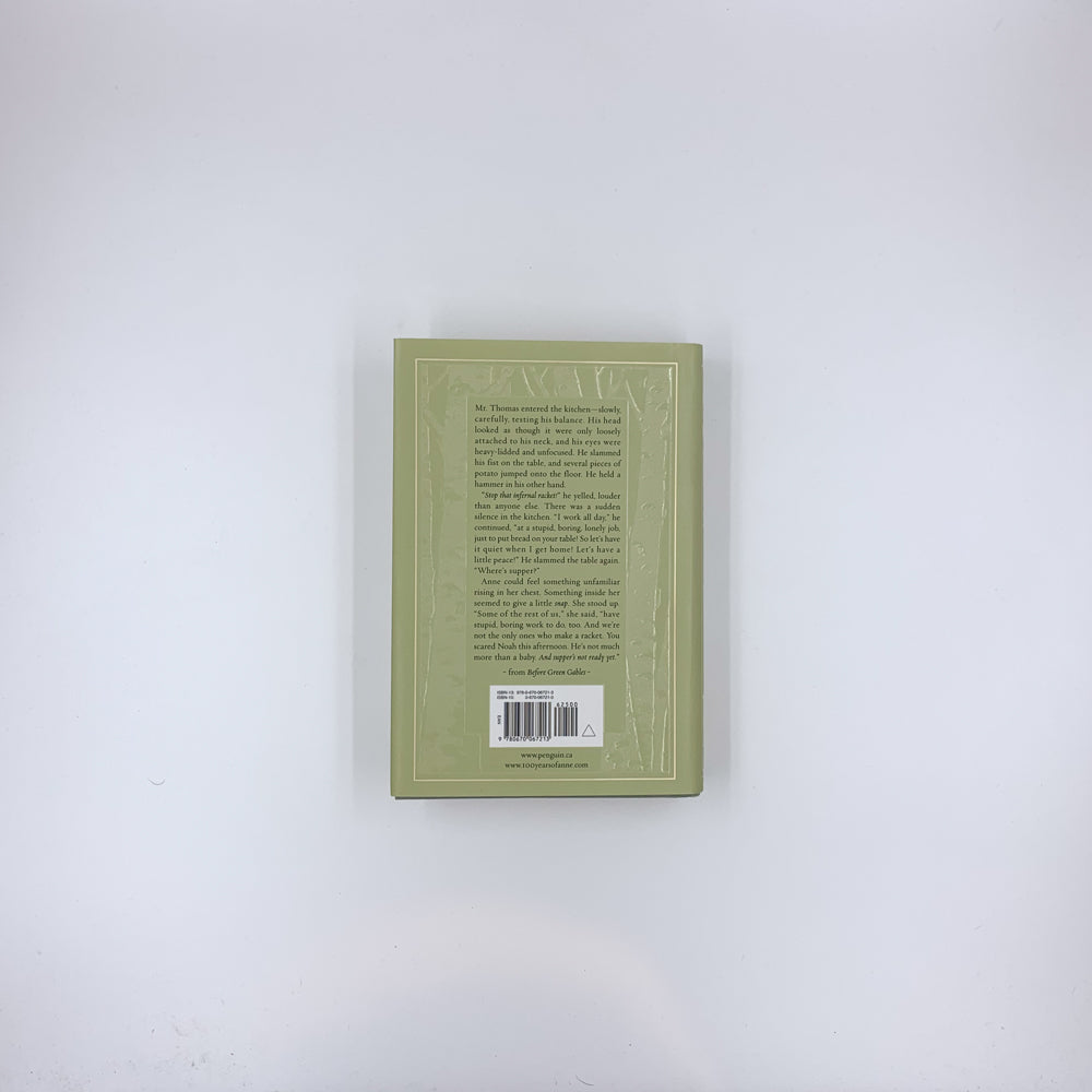 Anne… avant la maison aux pignons verts - Budge Wilson