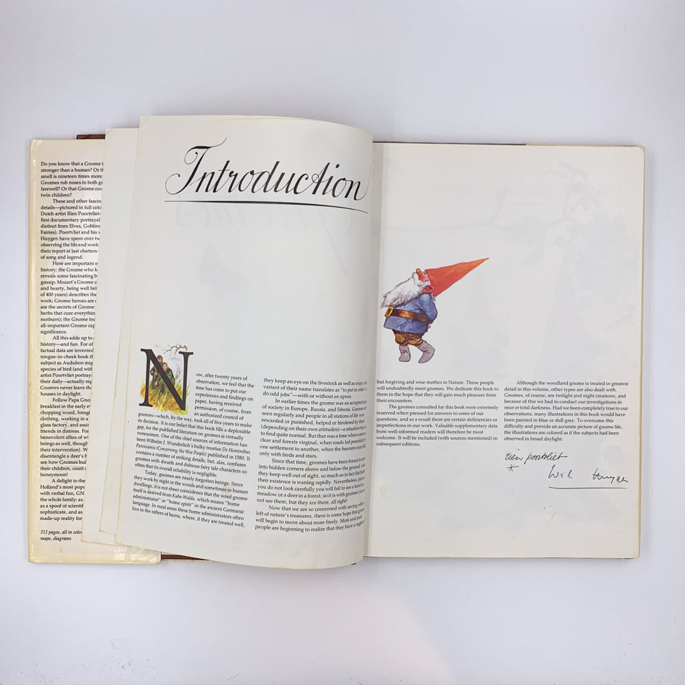 Gnomes - Wil Huygen & Rien Poortvliet