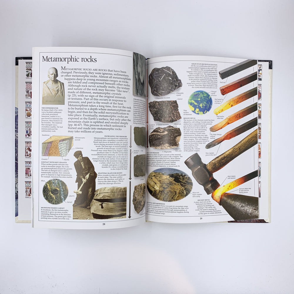 DK Eyewitness Books : La Terre - Susanna van Rose