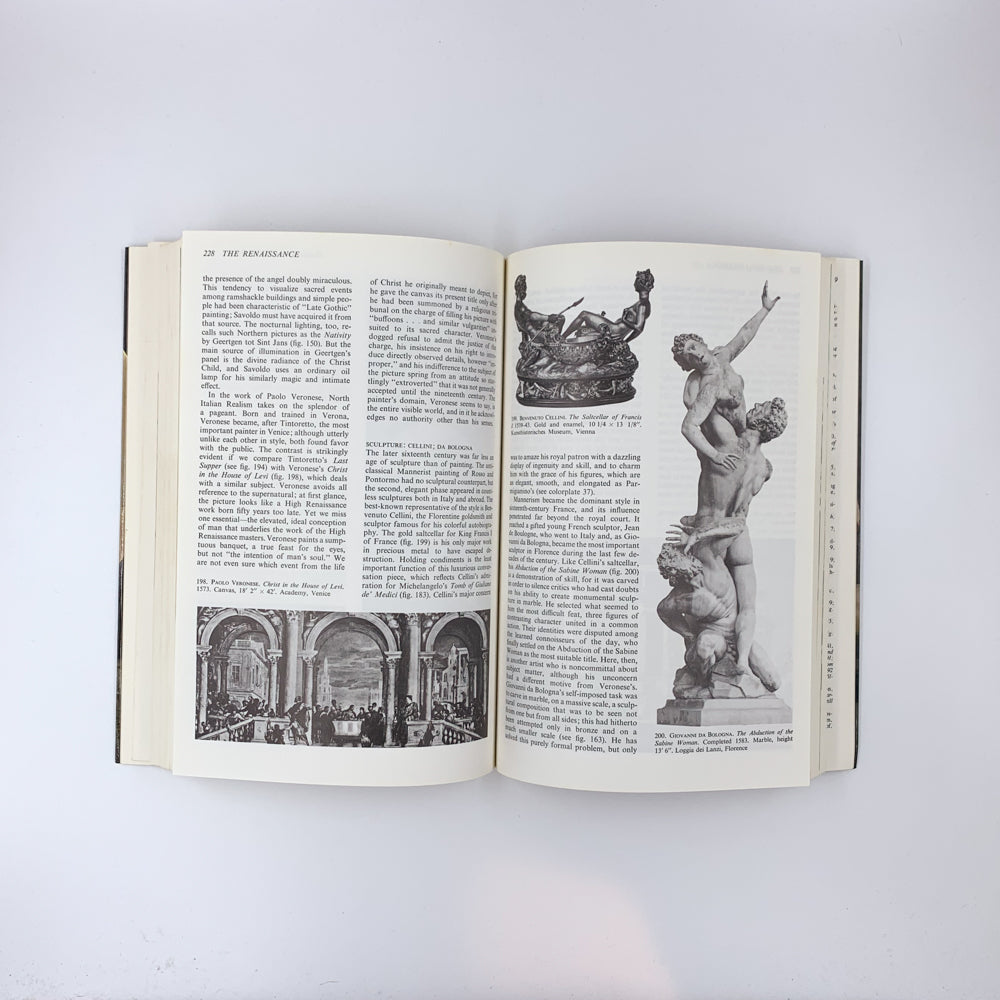A Basic History of Art - H.W. Janson & Sam Cauman