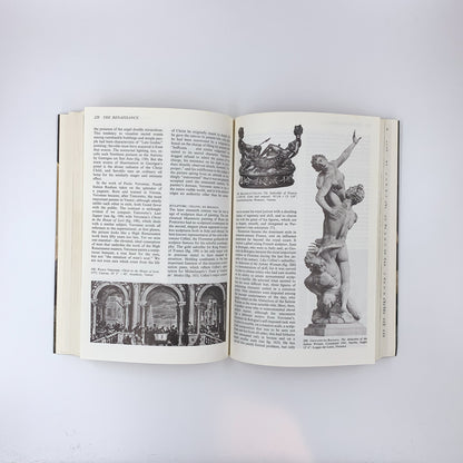 A Basic History of Art - H.W. Janson & Sam Cauman