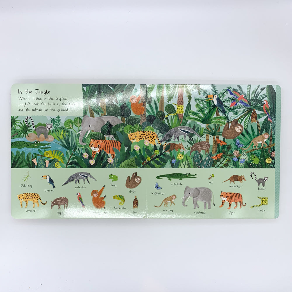 101 Animals to Find (Search and Find) - Jones, Rebecca