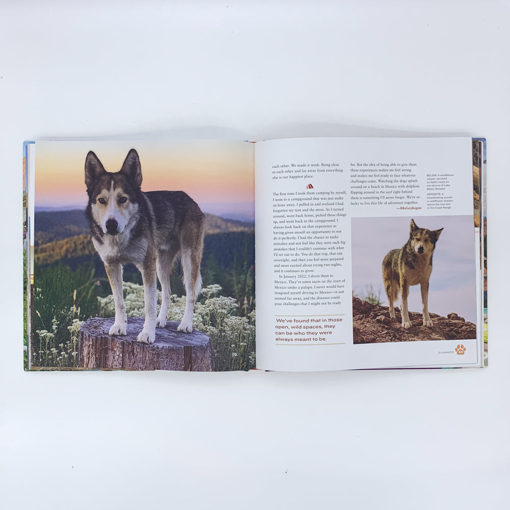 Every Dog Deserves an Adventure: Amazing Stories of Camping with Dogs - L.J. Tracosas & others