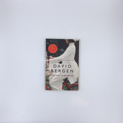 The Time in Between - David Bergen