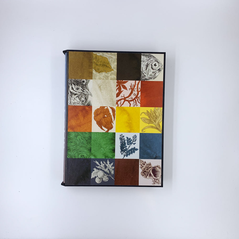 Colour: Travels through the Paintbox - Victoria Finlay (Folio Society)
