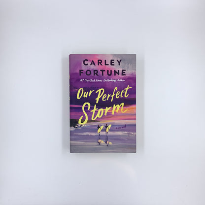 Our Perfect Storm - Carley Fortune