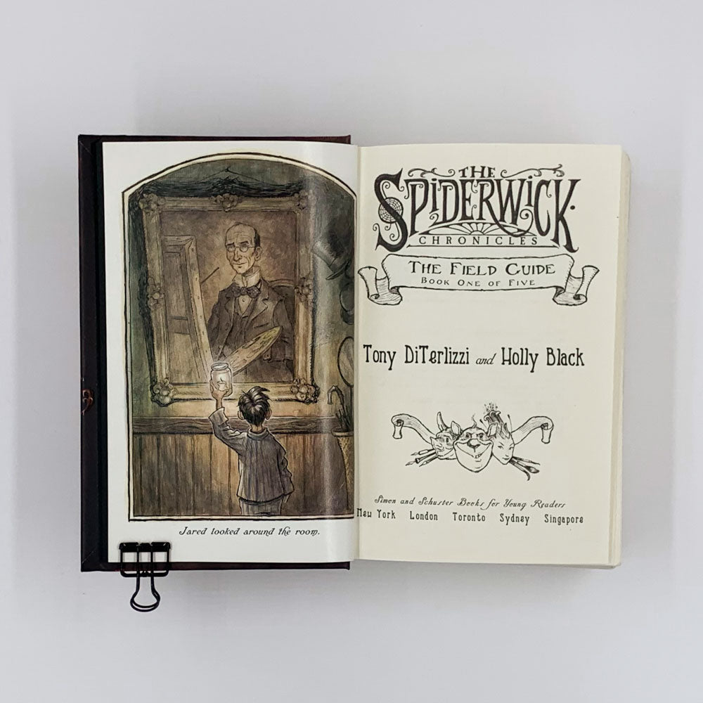 Les Chroniques de Spiderwick (Livres 1 à 5) - Tony DiTerlizzi &amp; Holly Black