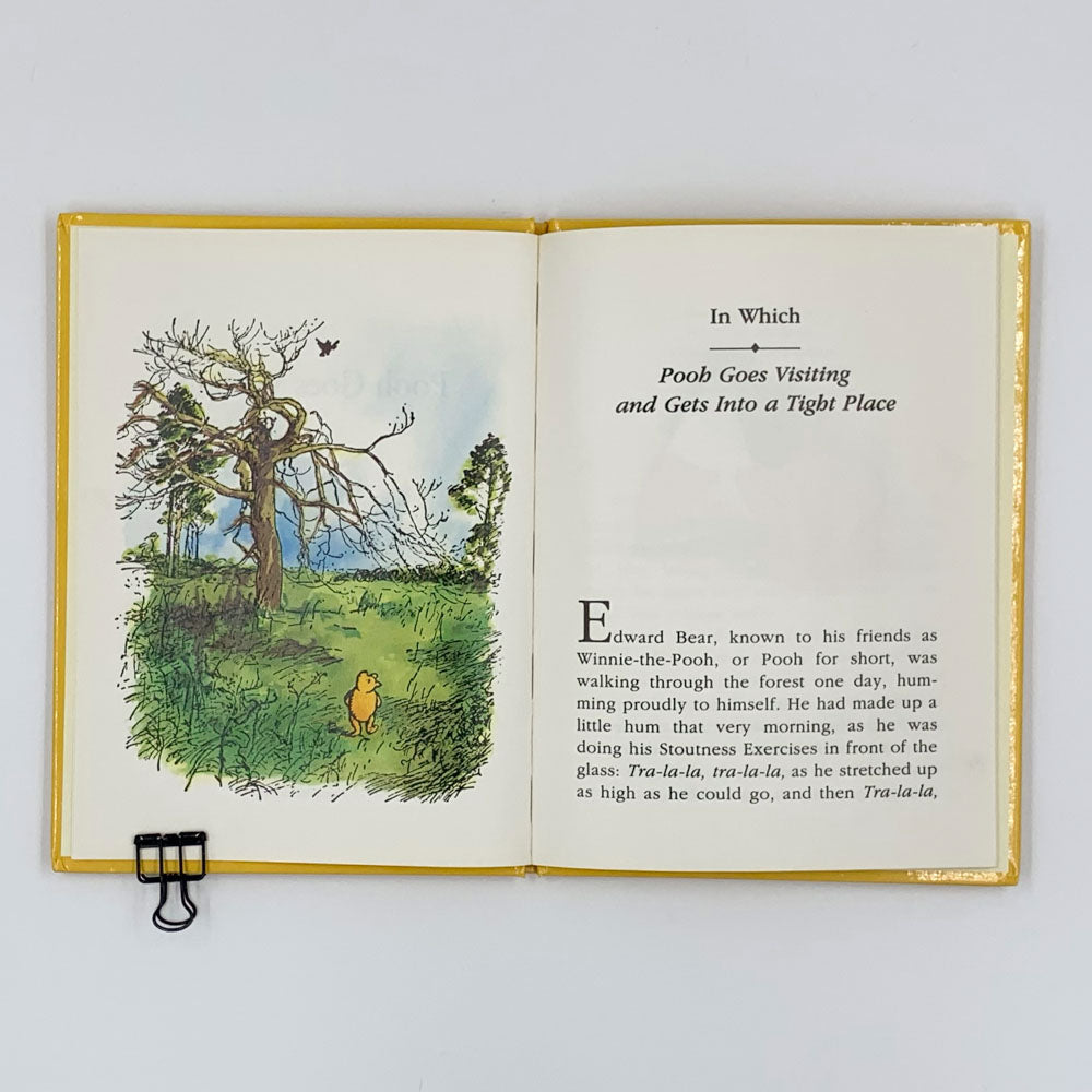 Pooh Goes Visiting - A.A. Milne